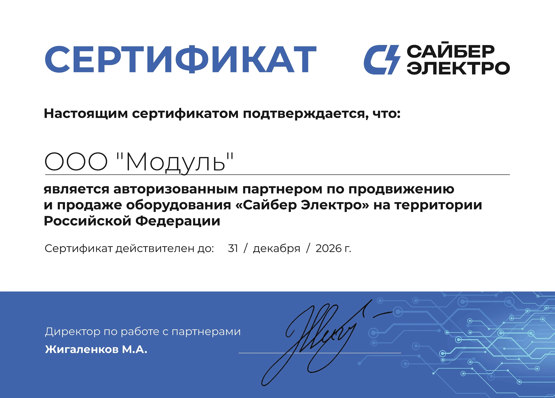САЙБЕР ЭЛЕКТРО САЙБЕР ЭЛЕКТРО